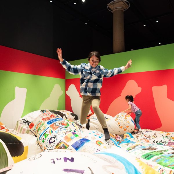 Photograph: Claire Collinson