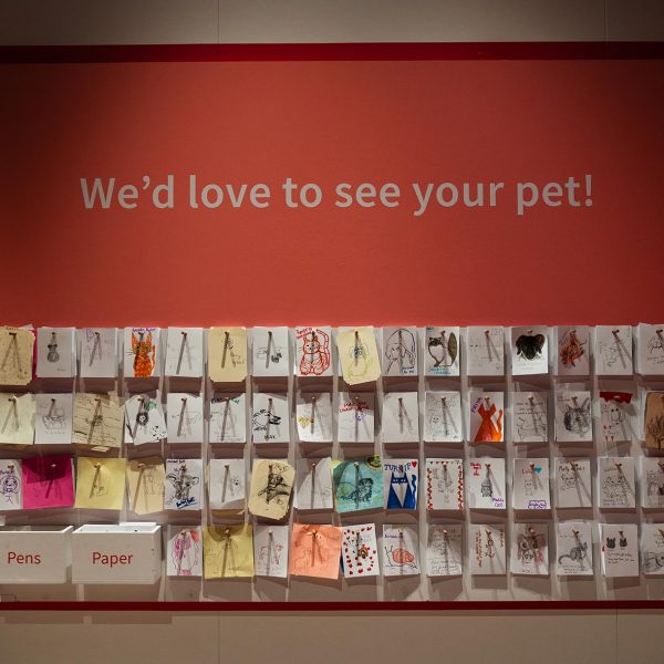 Photograph: Claire Collinson