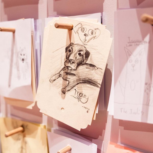 Photograph: Claire Collinson