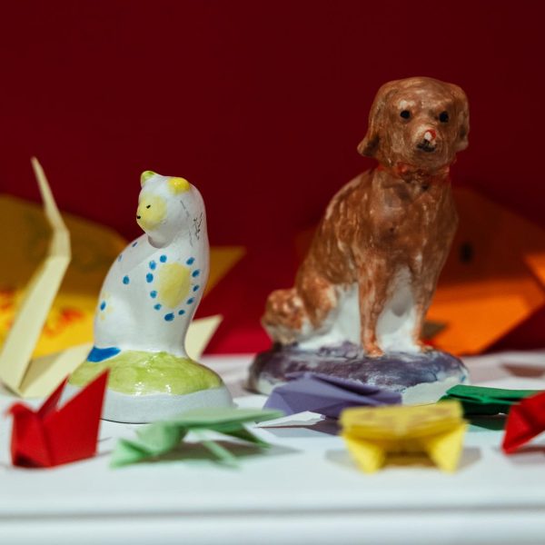 Photograph: Claire Collinson