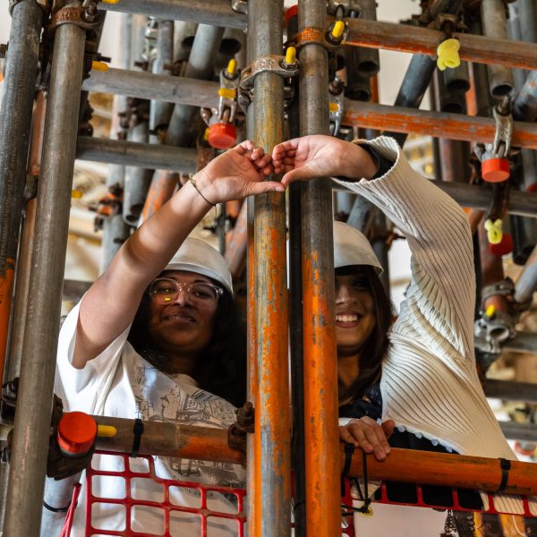 Friendship Follies by Pippa Hale at Wentworth Woodhouse. Photograph: Jules Lister